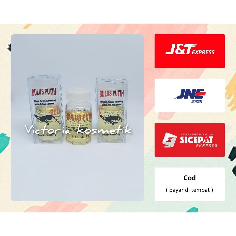 MINYAK BULUS  EYANG LAUT / MINYAK BULUS PUTIH
