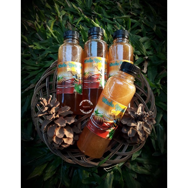 

madu ternak asli//madu asli//madu kesehatan