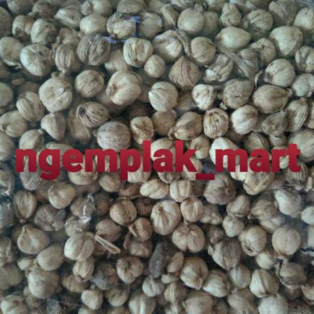 

Kapulaga 50 gram 100 gram kapulaga putih cardamon bumbu dapur jamu