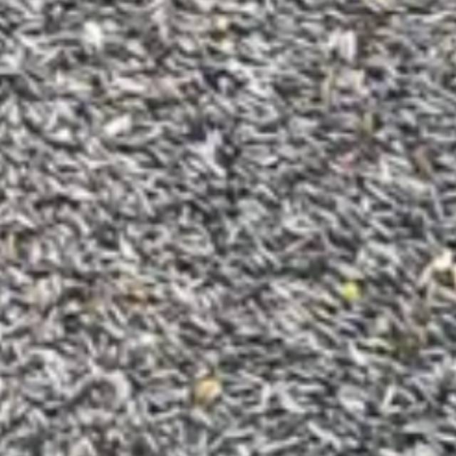 

Niger seed biji niger 500gr