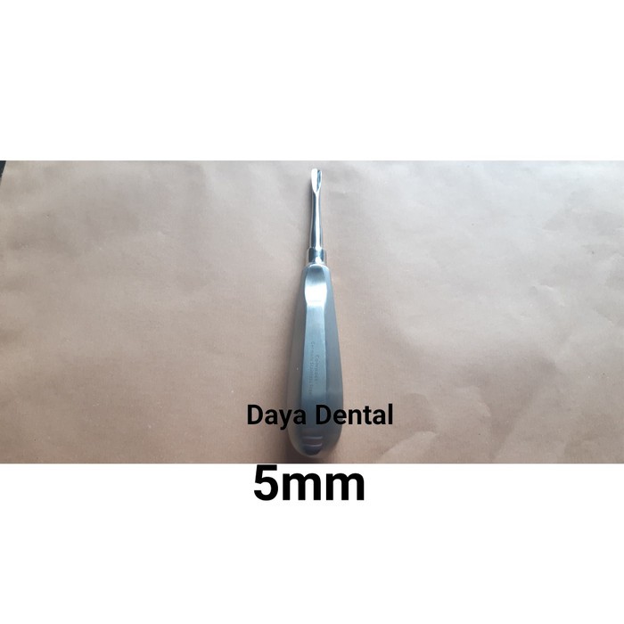 Dental Bein lurus root elevator SATUAN 5MM alat pencabut gigi