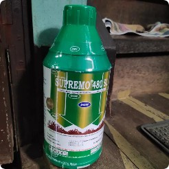 Herbisida Supremo 1L