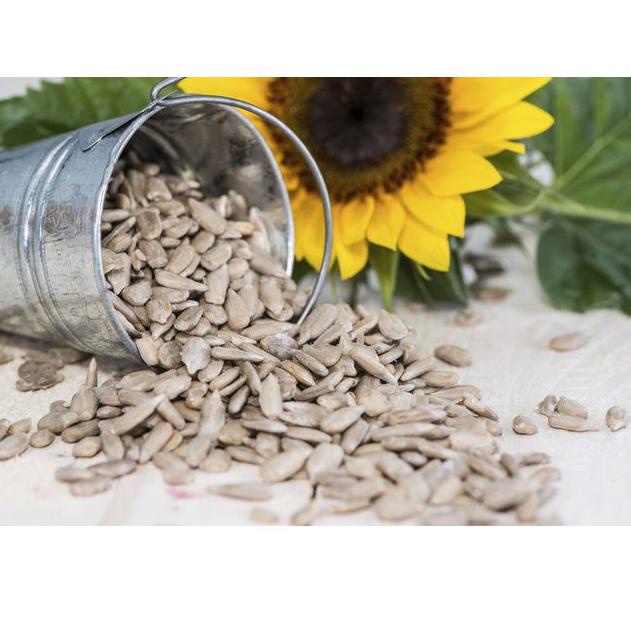 

ebs CLUB SEHAT - Sunflower Seed 1 kg biji bunga matahari natural mentah kuaci kupas m55➻