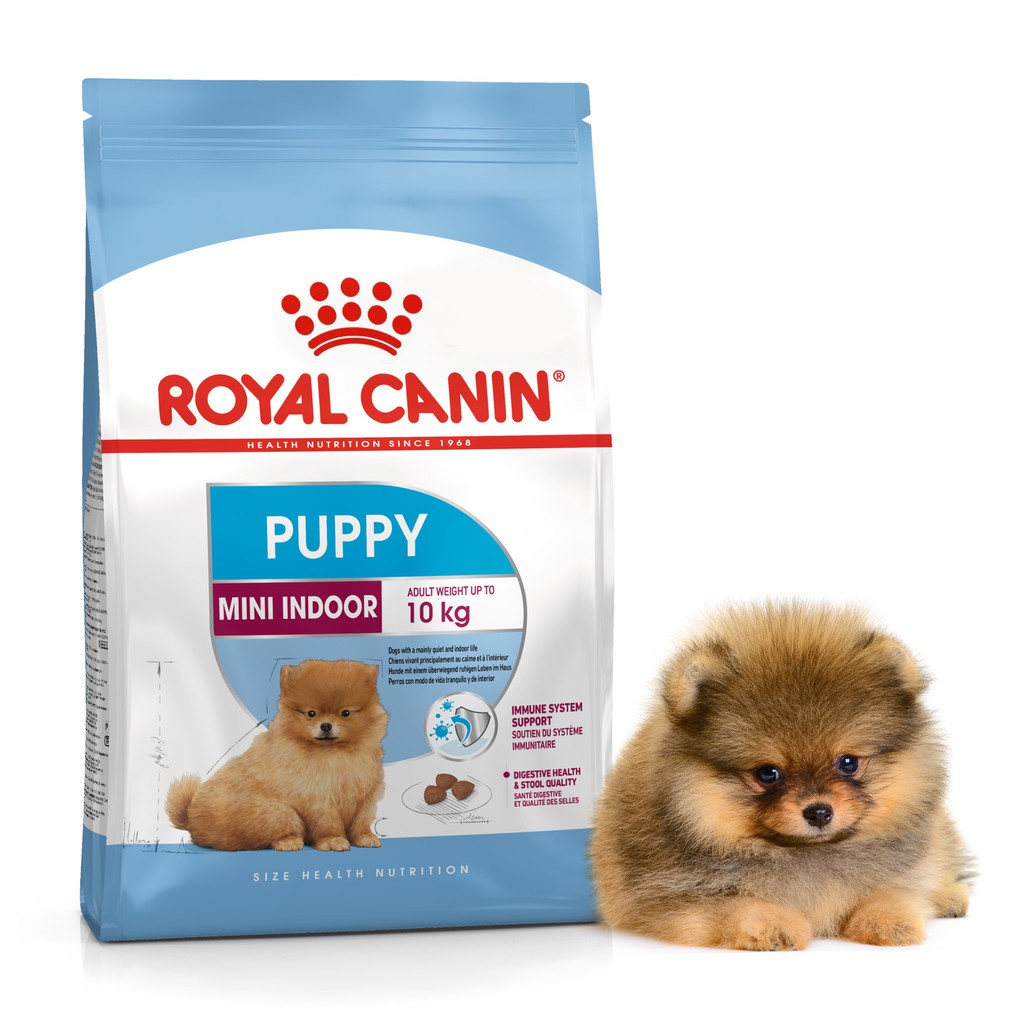 Royal Canin Mini Indoor Puppy 1,5kg 