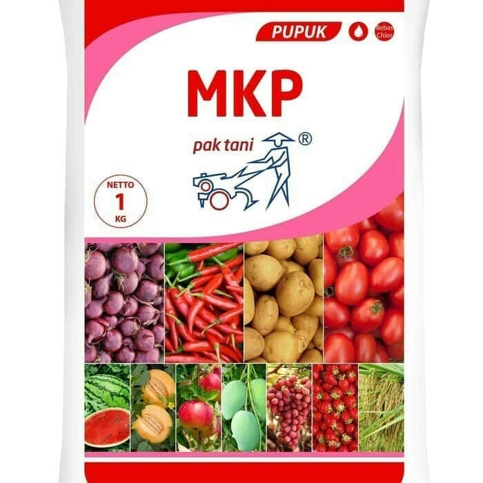 Pupuk MKP ( Mono Kalium Posphate) Repack 25 g untuk Merangsang Pembuahan dan Mencegah Kerontokan Bunga dan Buah