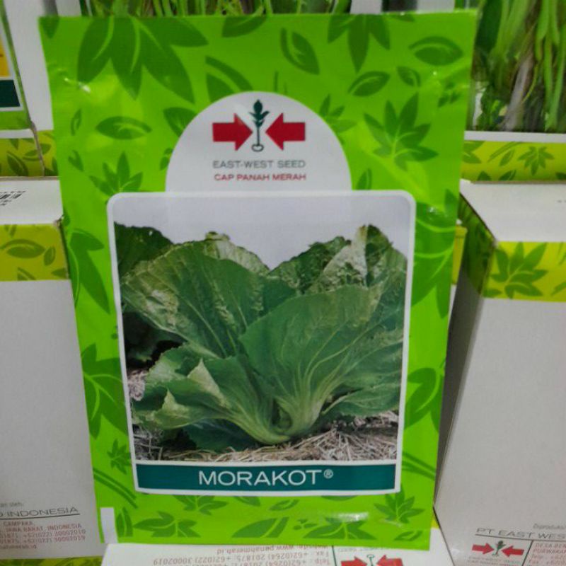 Benih Sawi Pahit Morakot isi 20 gram