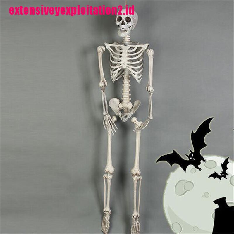 &lt; E2id &amp; &gt; Tengkorak Manusia Posable Untuk Pesta Halloween