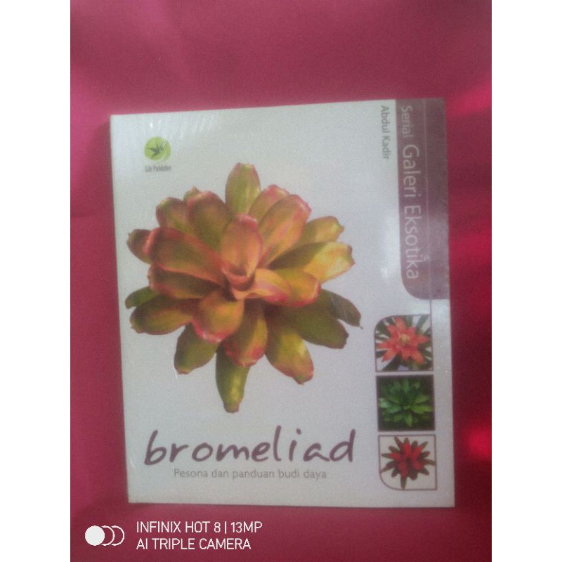 bromeliad