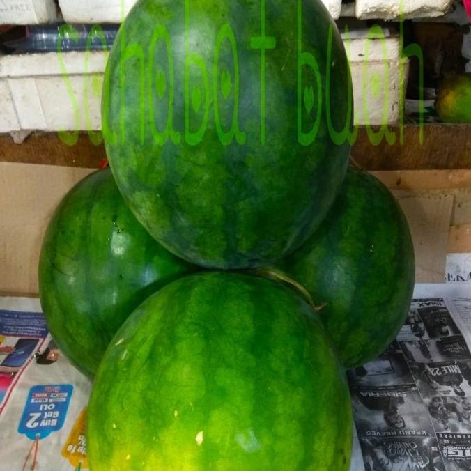 

BUAH SEMANGKA MERAH NON BIJI AP166