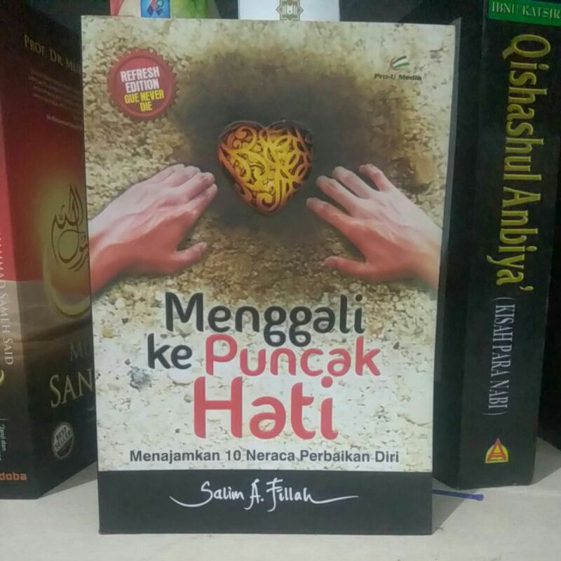 

Menggali ke Puncak Hati - Salim A. Fillah