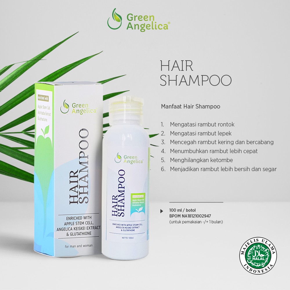 GREEN ANGELICA SHAMPO PENEBAL RAMBUT SHAMPO KUTU RAMBUT SHAMPO