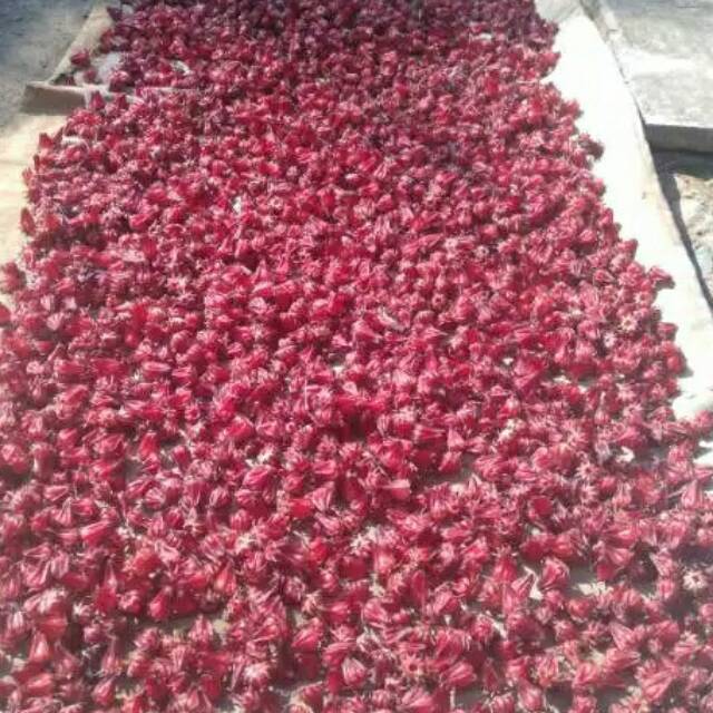 Bunga rosela kering siap seduh 1kg rosella merah