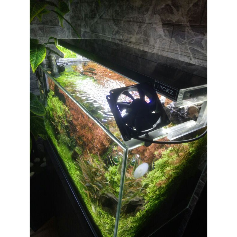 Kipas Aquarium Aquascape 8x8cm
