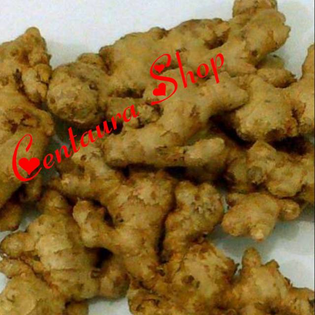 

Jahe Emprit Kwalitas Super Unggul 100gr