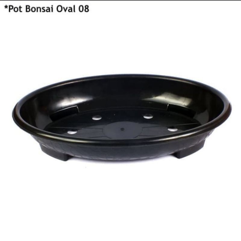 Pot Bonsai Oval/Pot Bonsai/Pot Bonsai oval hitam/oval 08/bonsai