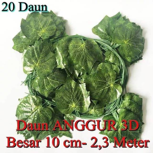 Jual Daun Rambat Besar Daun Anggur D Shopee Indonesia