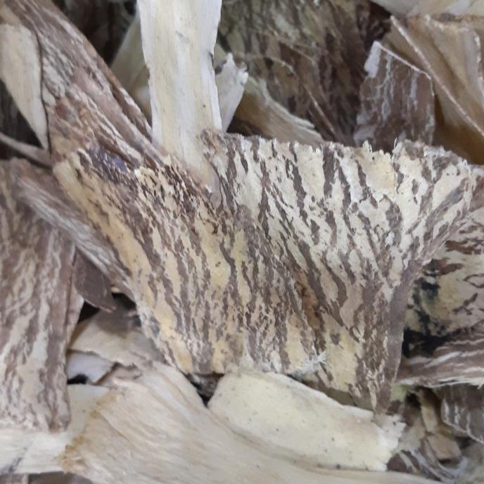 

best seller] 100 gr Huang Qi Slice /Astraglus Radix/ Bei Qi / Huangqi Beiqi Pak khi