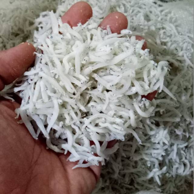 

Teri medan super