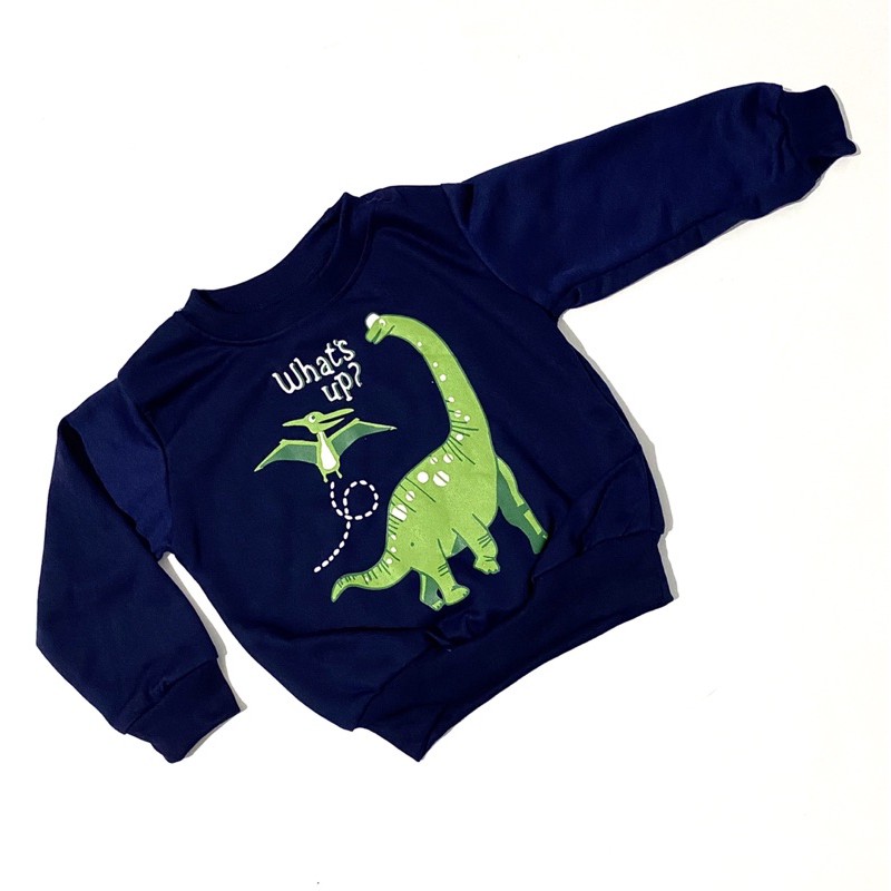 SWITER DINO ANAK PILIH WARNA BISA COD1-6 THUN