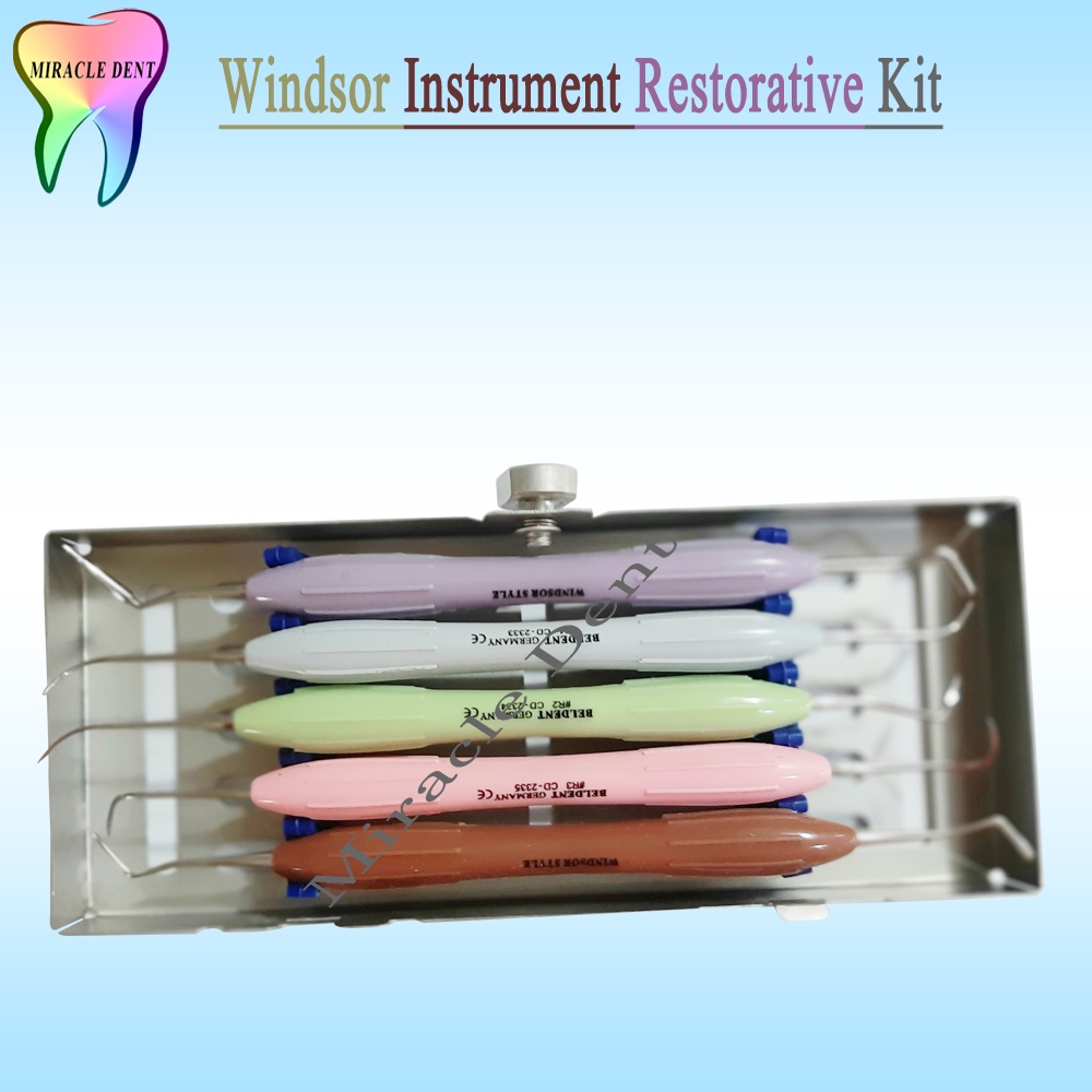 Windsor Style Restorative Kit / Instrument Style Italiano