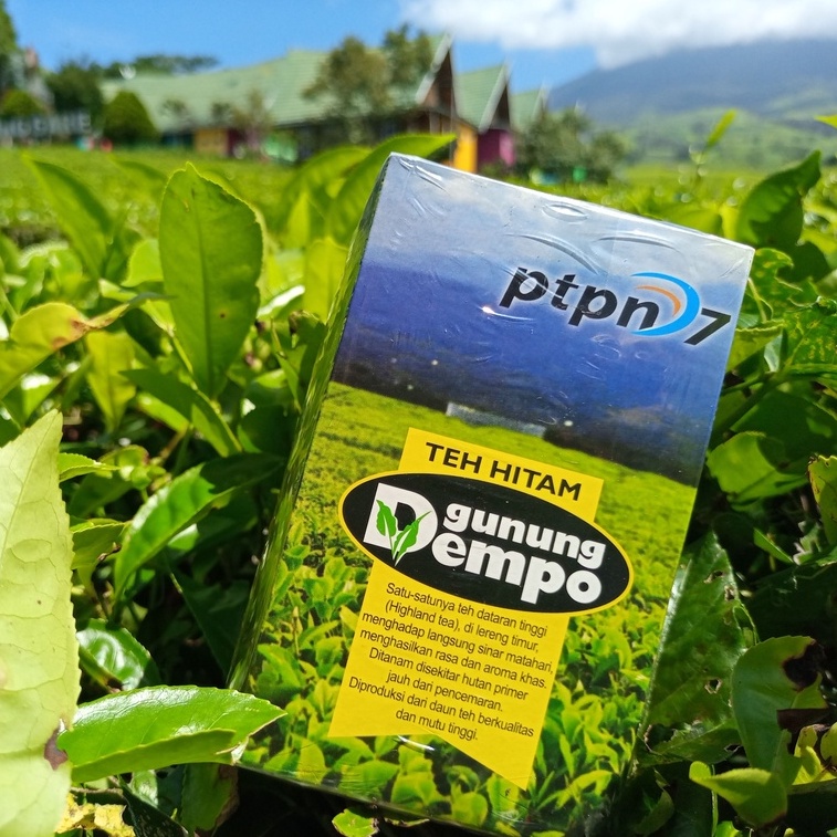 

TEH HITAM GUNUNG DEMPO PAGARALAM DARI DAUN TEH ASLI DIJAMIN ORIGINAL - KEMASAN 250 GRAM