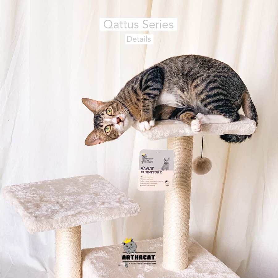 Cat Tree Qattus - Rumah Kucing Arthacat