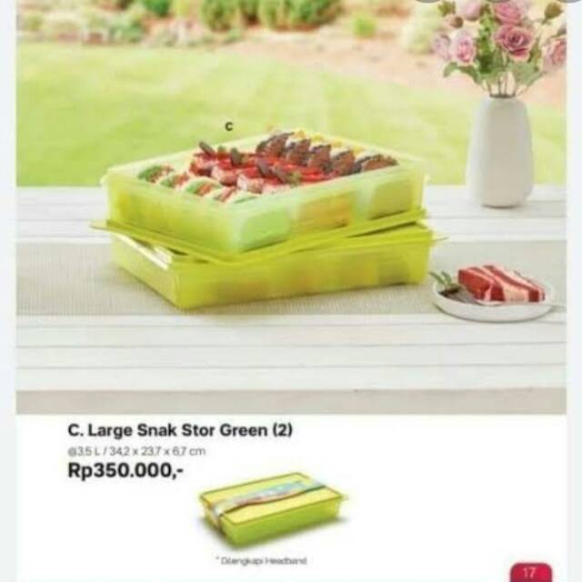 snack n stor large green tupperware