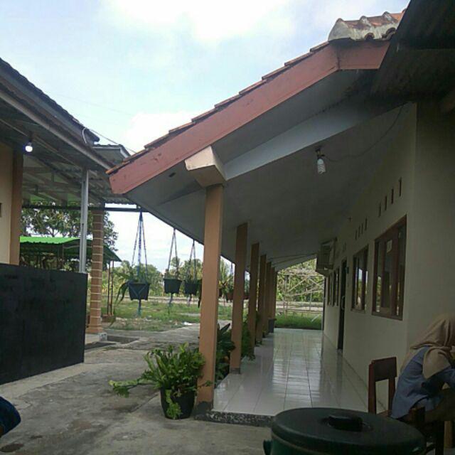 Bswart Batik Hrb026 Kenongo Hem Pendek Padi Pekalongan M L Xl Batik Pria Murah Modern