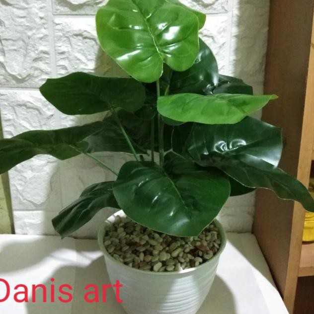 ⭐ TERHEMAT TANAMAN PALSU⭐ TANAMAN KELADI PALSU/ TANAMAN HIAS/ DAUN HIJAU/KELADI ARTIFICIAL