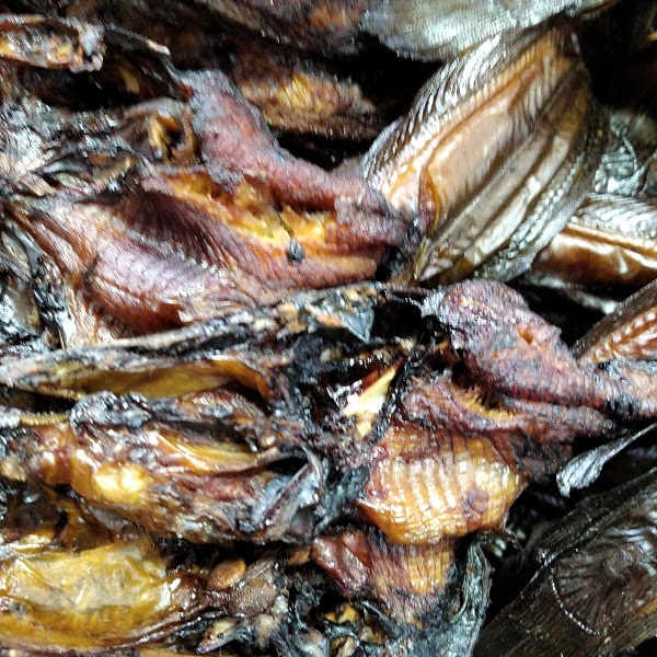 

Ikan Sale lele Super Khas Medan Bisa COD Wiendalove