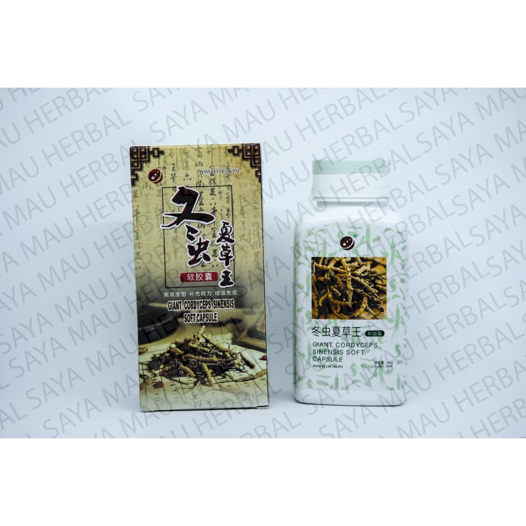 GIANT CORDYCEPS SINENSIS soft capsule