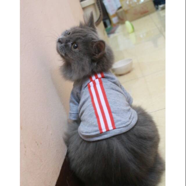 Kaos list merah putih dasar abu-abu untuk kucing dan anjing size S M L XL