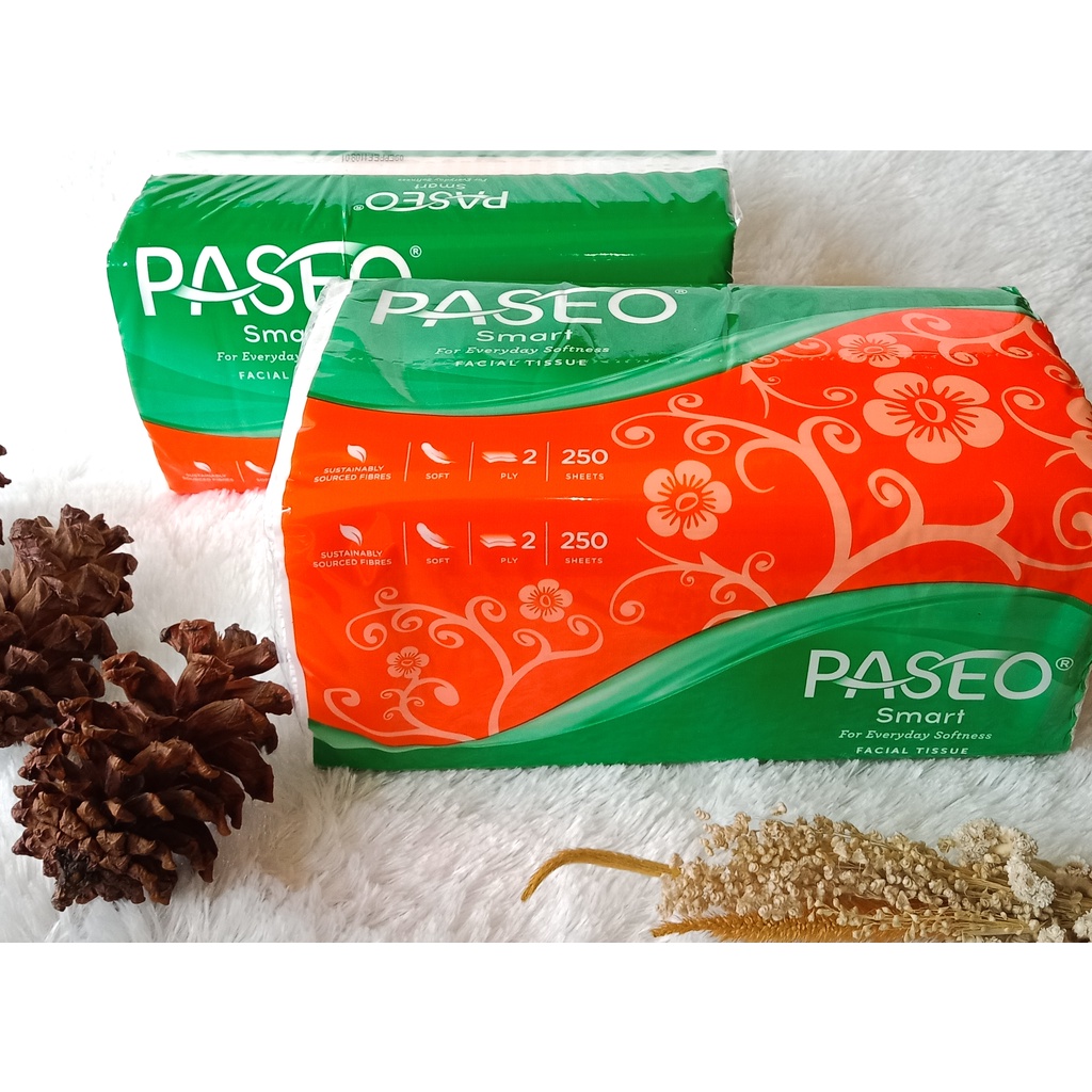 Tissue PASEO SMART Facial 250s