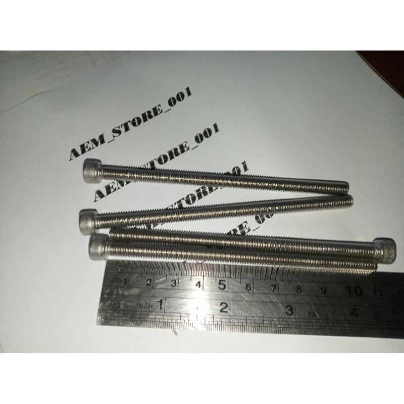 baut L M6 X 110 (11cm) stainless 304 THE A2-70