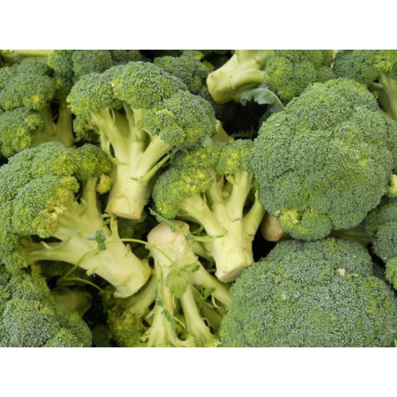

Brokoli (500 gram)