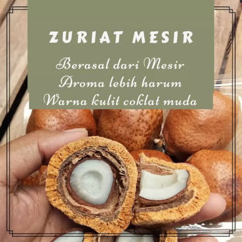 

{L.i Store} Buah Zuriat Mesir 500gr UNTUK PROGRAM HAMIL