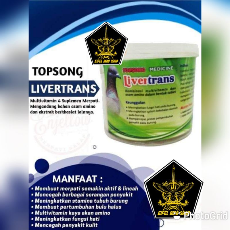 LIVERTRANS TOPSONG 1 Butir Multivitamin merpati per 1 butir liver trans