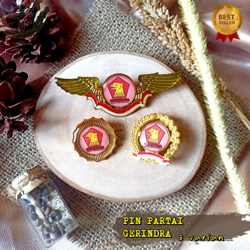 PIN PARTAI GERINDRA