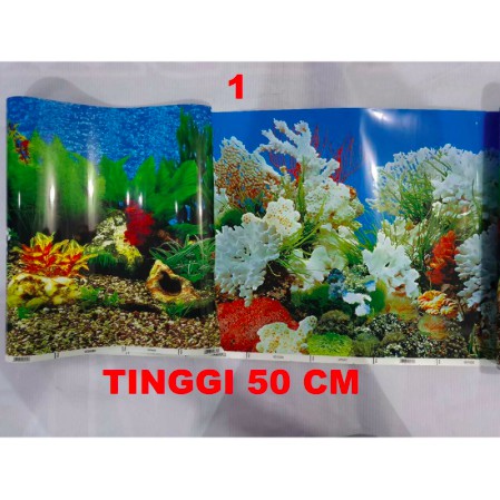 Background / Latar belakang aquarium Tinggi 50 cm panjang per 10 cm