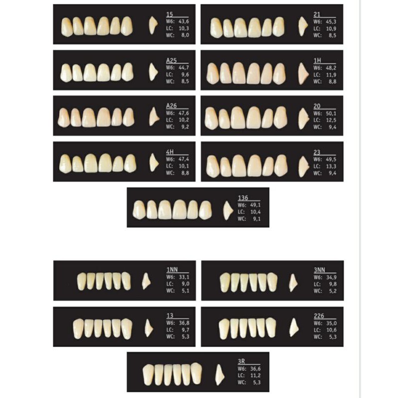 1 strip Gigi Palsu Akrilik ORTOLUX TOP | Acrylic Teeth