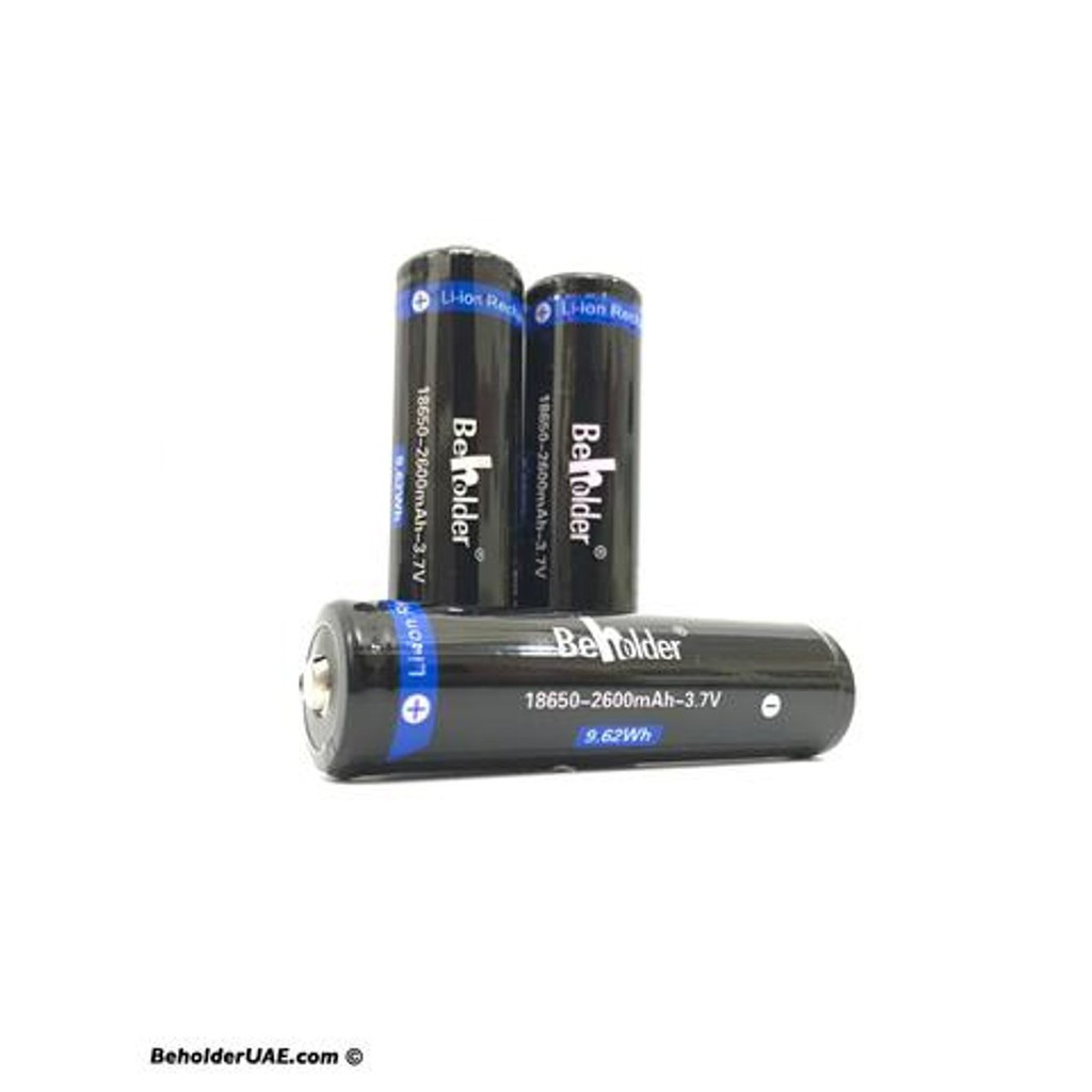 Beholder EC1  MS1  DS1 Original Rechargeable Battery