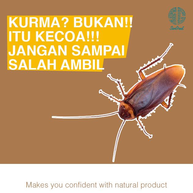 Cairan pengusir kecoak spray Anti kecoa SanGreat Bye Bye Kecoa repellent 100 ml untuk kecoak kecil maupun besar untuk di dapur, kamar mandi, mobil dan tempat lainnya