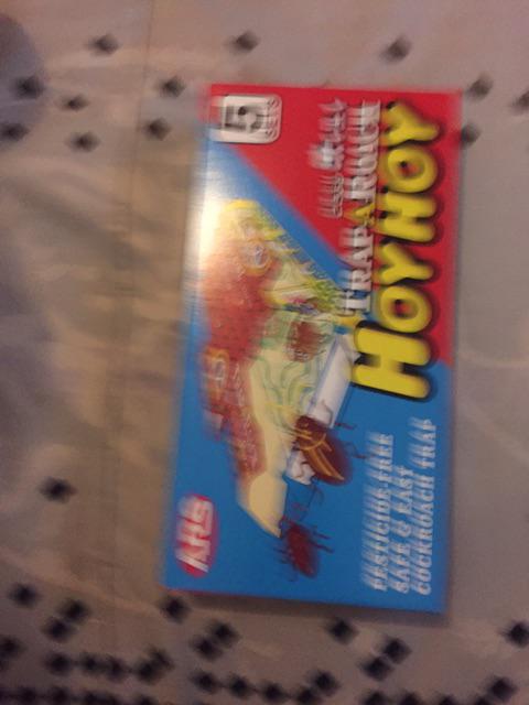 Basmi Kecoa Di Rumah Dengan 5 Trap / Perangkap / Rumah Kecoa Hoy Hoy