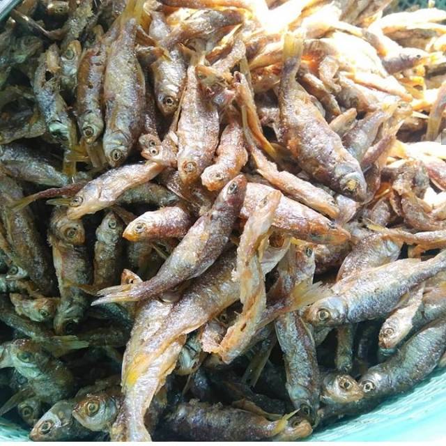 

Ikan bilis