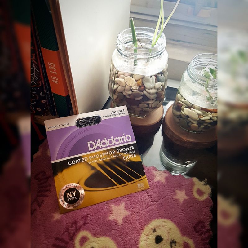 Acoustic Guitar Strings D'Addario EXP26 Senar Gitar Akustik D Addario 011 052