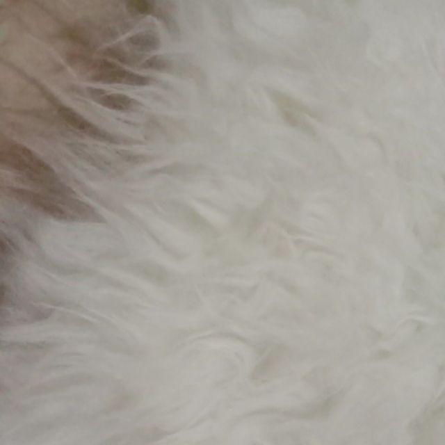 Yup..  Karpet Bulu Putih Lembut 70x130cm Termurah High Quality  Murah