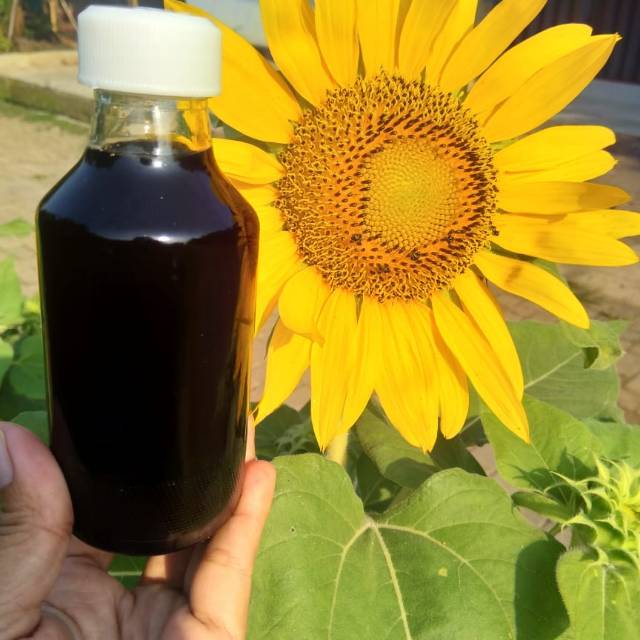 

Madu Trigona / Lanceng kemasan 150 ml
