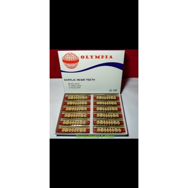 Gigi Olympia geraham (posterior) adalah bahan untuk membuat gigi tiruan atau gigi palsu resin teeth 