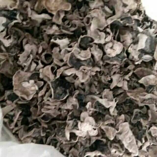 

Jamur kuping( bokji )