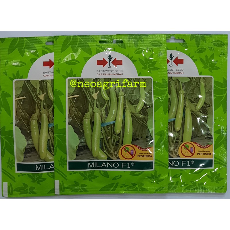 Benih Terong Hijau MILANO F1 Cap Panah Merah